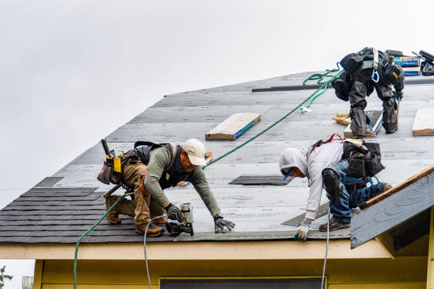 Professional Roofing technician working in Camby, IN
